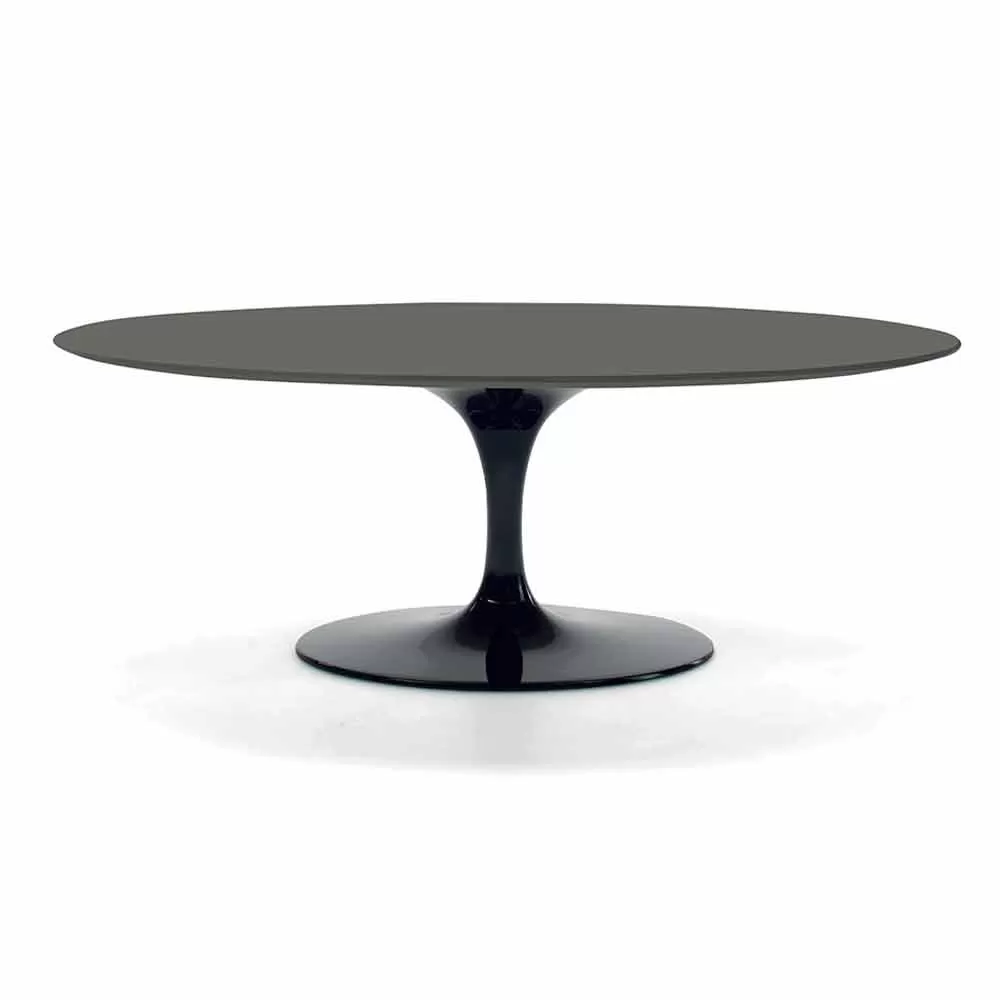 Luxury Coffee Table With Oval Top In Fenix Made In Italy - Dollars