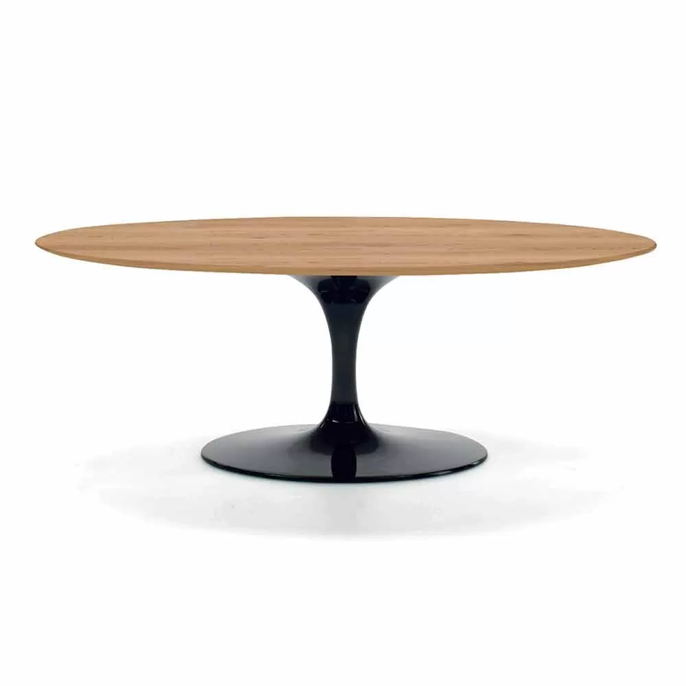 Coffee Table With Oval Top In HPL Laminate Made In Italy - Dollars - Image 3