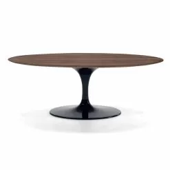 Coffee Table With Oval Top In HPL Laminate Made In Italy - Dollars