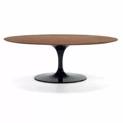 Coffee Table With Oval Veneered Wood Top Made In Italy - Dollars